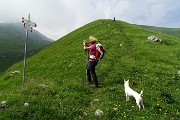 Baita e Monte Golla ad anello da Gorno il 18 giugno 2015 - FOTOGALLERY